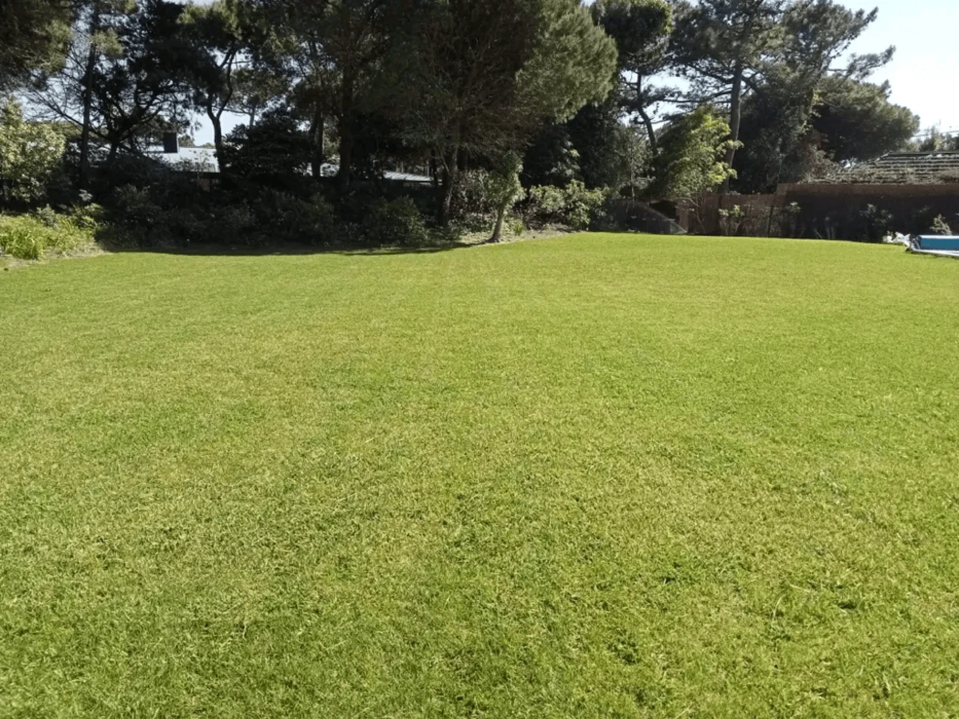 Antes - Quintal vazio